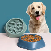Paw-Paced Slow Feeder Bowl